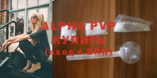 винт Пересвет