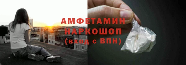 винт Пересвет