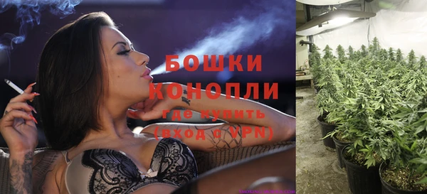 крисы Переславль-Залесский