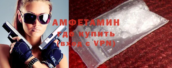 винт Пересвет
