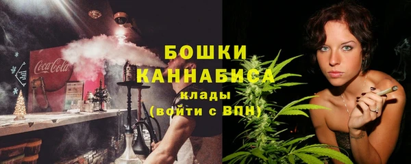 винт Пересвет