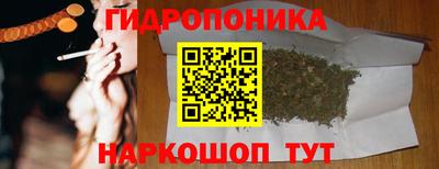 спиды Гай
