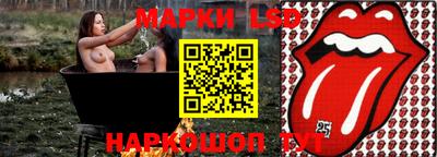 спиды Гай