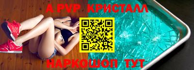 спиды Гай