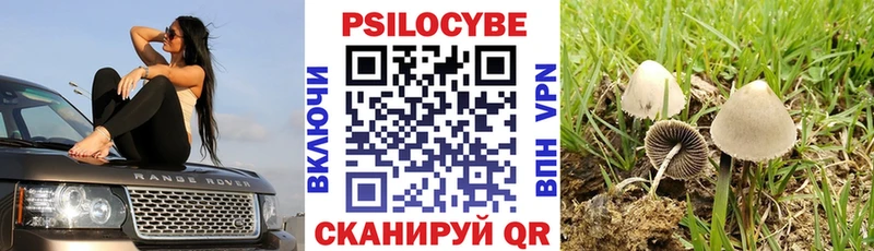 Псилоцибиновые грибы мухоморы  Кубинка 