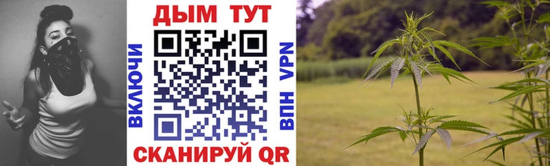 как найти наркотики Кубинка Бошки Шишки семена